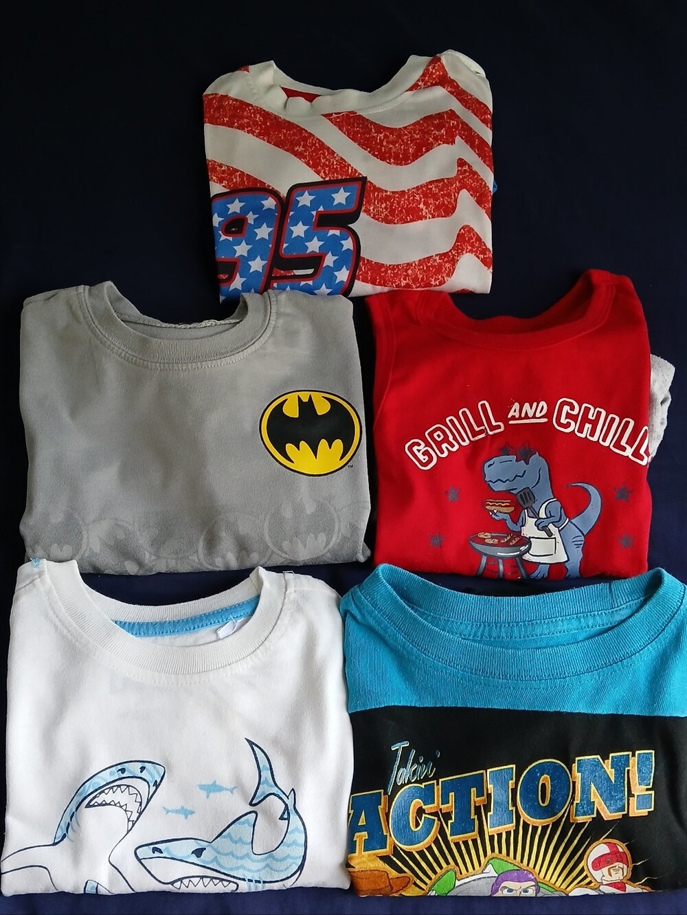 Boys Clothing Bundle Lot Of 5 Size 3T